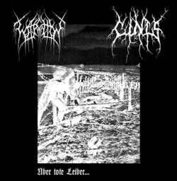 Cinis (CH) : Über Tote Leiber...